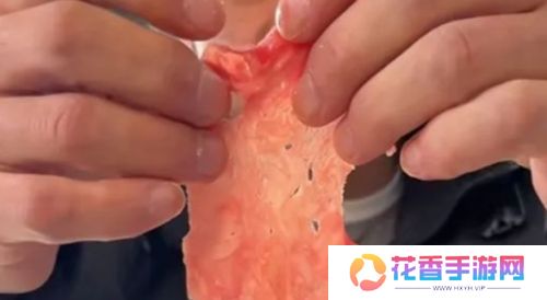 体德学院校长李维刚也塌房，带货牛肉卷被打假，疑似遭遇套牌销售