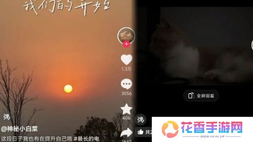 一条小团团在某音发布视频，称正在提升自己，暂不打算重新开直播