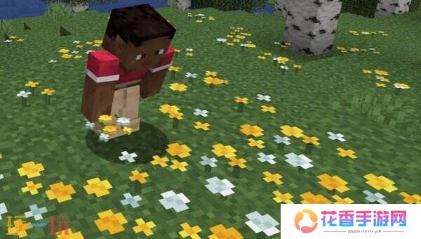 《我的世界》新增六项功能 将放弃传统大型夏季更新