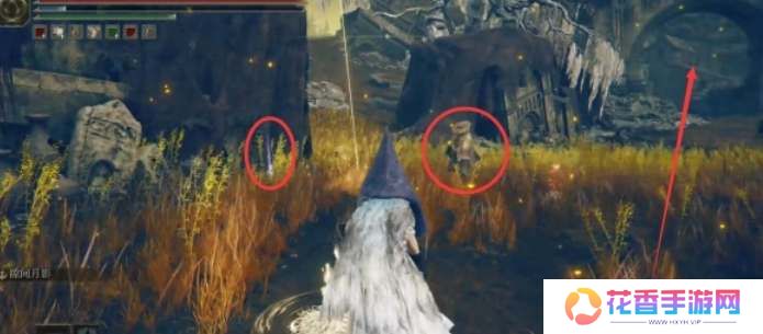 艾尔登法环dlc幽影树碎片收集攻略