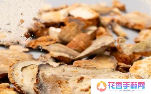 《哪吒2》申公豹“代购药单”火了，网友直呼导演专业，细节满满