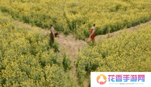 《掌心》采莲身死，霓裳退出，叶平安被埋，复仇小分队遭散伙危机