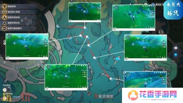 速看！原神希格雯突破材料海露花！你集齐了吗？